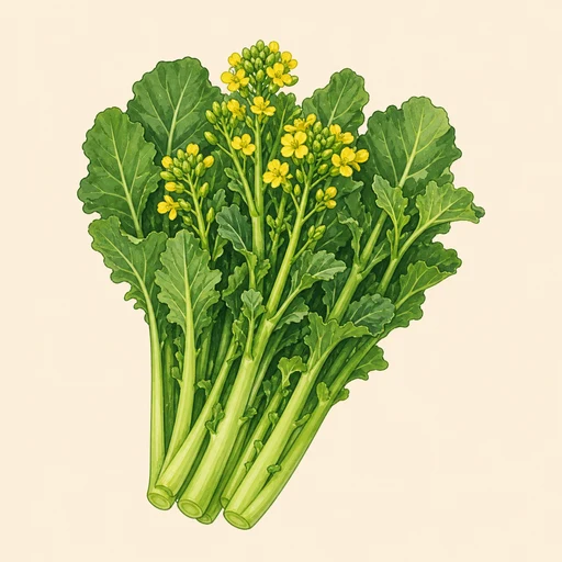 のらぼう菜
