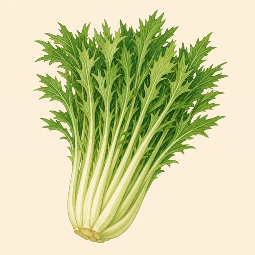 勝山水菜